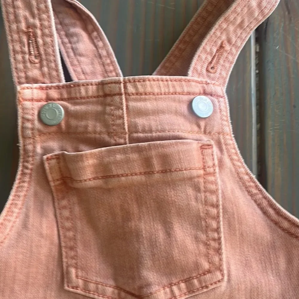 Girls Skirt Overalls